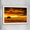 Animal wall art and canvas prints of Savannah Elephant Sunset with raw oak glass front frame