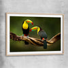 Animal wall art and canvas prints of Tropical Toucan Pair with raw oak glass front frame