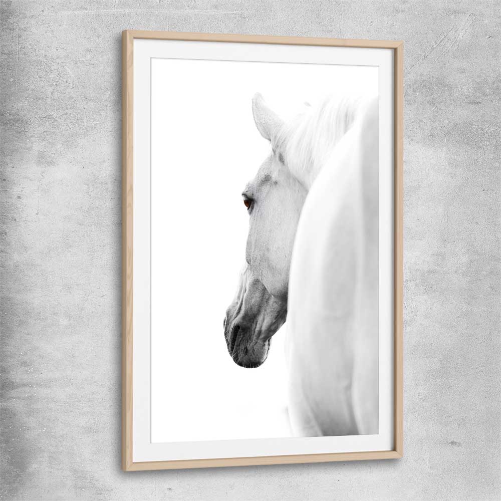 Animal wall art and canvas prints of White Horse Elegance with raw oak glass front frame