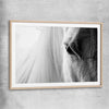 Animal wall art and canvas prints of White Horse Grace with raw oak glass front frame