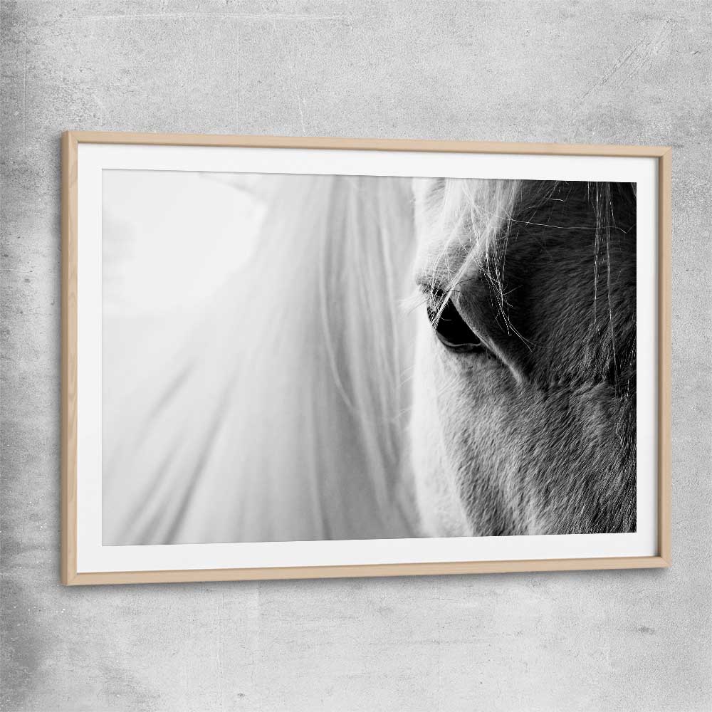 Animal wall art and canvas prints of White Horse Grace with raw oak glass front frame