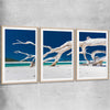 Beach and coastal wall art print of Whitsundays Driftwood Set with raw oak glass front frame