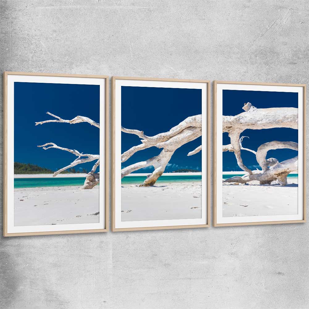 Beach and coastal wall art print of Whitsundays Driftwood Set with raw oak glass front frame