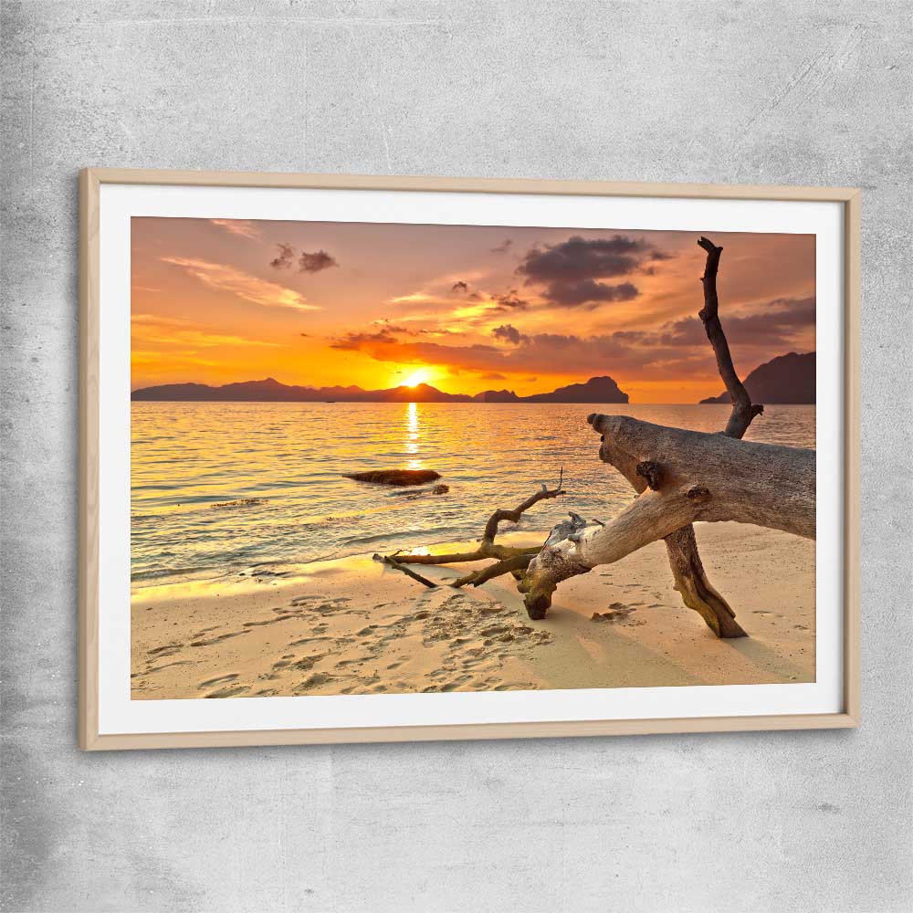 Beach and coastal wall art print of Driftwood at Sunset with raw oak glass front frame