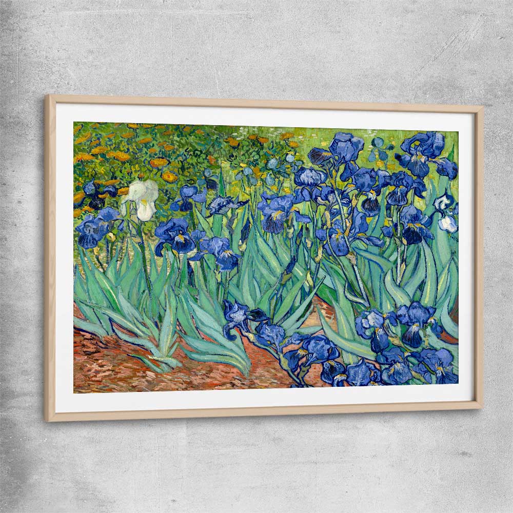Classic wall art and canvas print of Irises Van Gogh with raw oak glass front frame