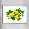 Lemon Botanical raw oak glass front frame is a colourful and stylish canvas wall art and print suited for the kitchen area