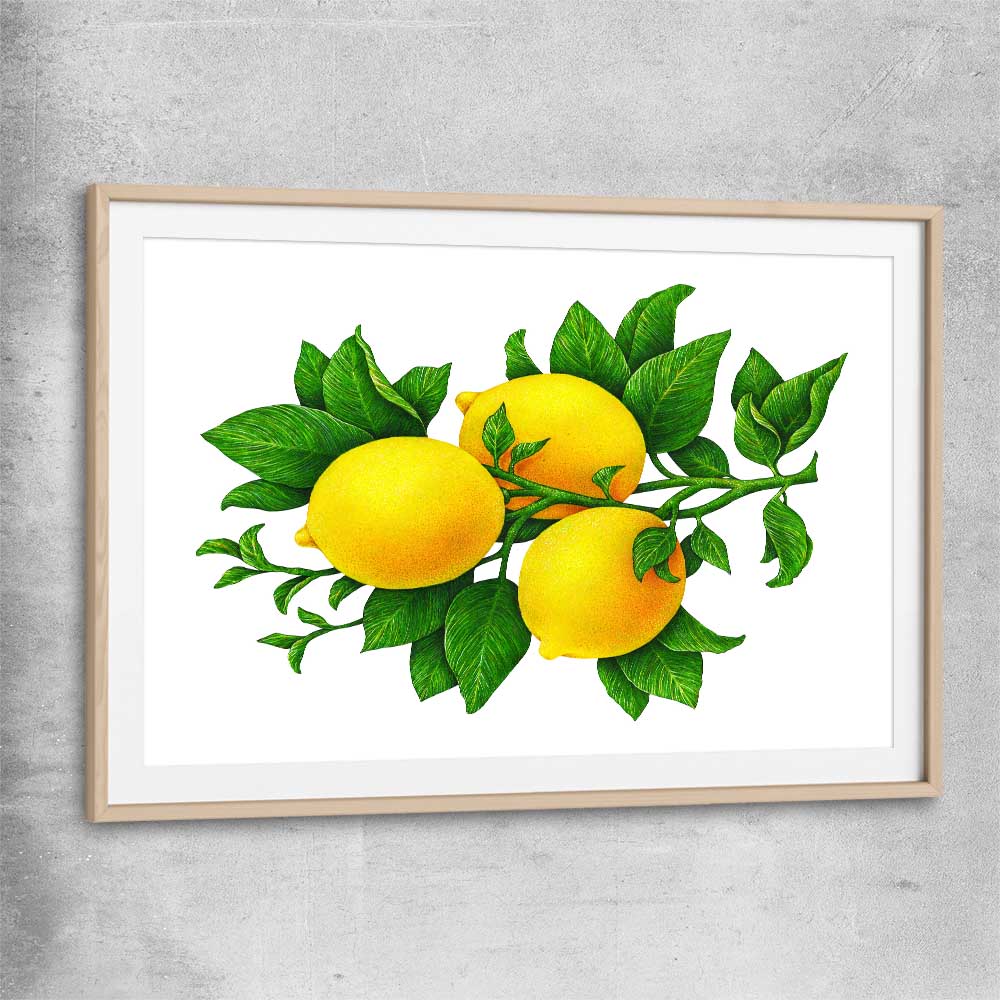 Lemon Botanical raw oak glass front frame is a colourful and stylish canvas wall art and print suited for the kitchen area
