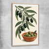 Terracotta Olive Branch raw oak glass front frame is a colourful and stylish canvas wall art and print suited for the kitchen area