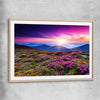 Floral print of Carpathian Mountain Bloom with raw oak glass front frame