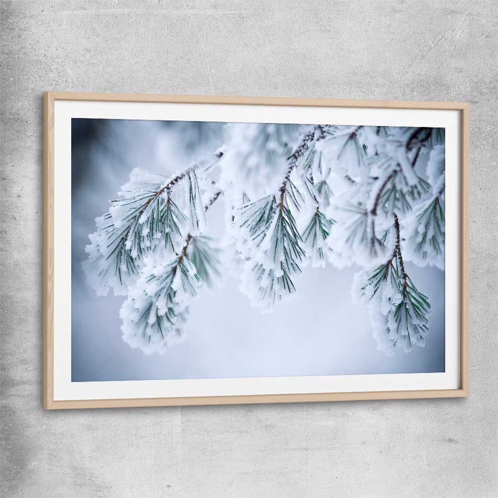 Floral print of Frosted Pine Canopy with raw oak glass front frame