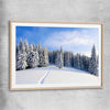 Floral print of Snowy Forest Path with raw oak glass front frame