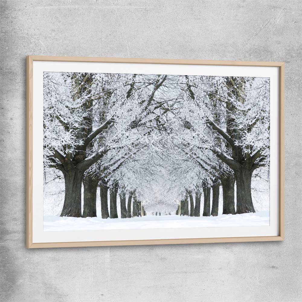 Floral print of Winter Tree Avenue with raw oak glass front frame