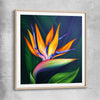 Floral print of Bird of Paradise Illustration with raw oak glass front frame