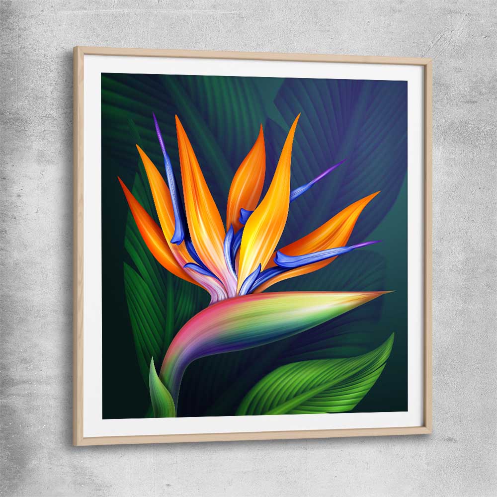 Floral print of Bird of Paradise Illustration with raw oak glass front frame