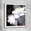 Floral print of Calming White Flowers with raw oak glass front frame