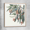 Floral print of Eucalyptus Illustration with raw oak glass front frame