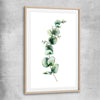 Floral print of Eucalyptus One with raw oak glass front frame