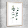 Floral print of Eucalyptus Three with raw oak glass front frame