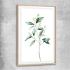 Floral print of Eucalyptus Two with raw oak glass front frame