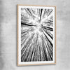 Floral print of Forest Sky with raw oak glass front frame