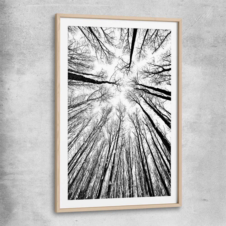 Floral print of Forest Sky with raw oak glass front frame