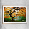 Floral print of Japanese Maple Tree with raw oak glass front frame