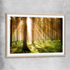 Floral print of Pine Forest Sunrise with raw oak glass front frame
