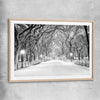 Floral print of Snowy Central Park with raw oak glass front frame