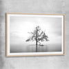 Floral print of Sole Mangrove with raw oak glass front frame