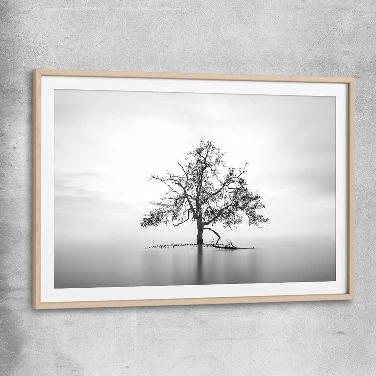 Floral print of Sole Mangrove with raw oak glass front frame