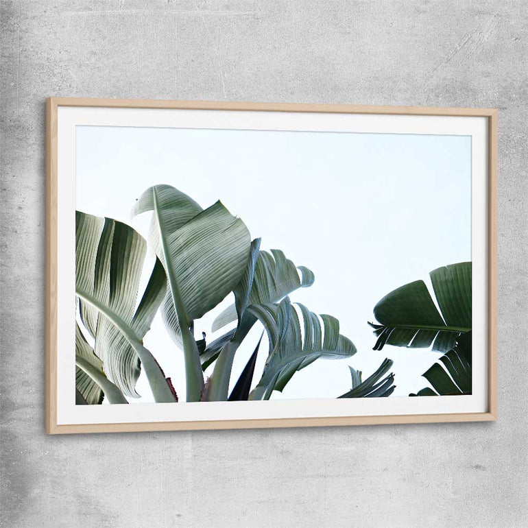 Floral print of Tropical Banana Palm with raw oak glass front frame