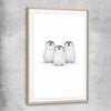 Little Penguin Trio raw oak glass front frame is a nursery canvas wall art and print suited for childrens nursery arean