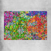 Pointillist Burst rolled print - part of our high quality canvas abstract wall art collection
