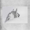 Animal wall art and canvas prints of Andalusian Horse on a rolled print