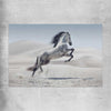Animal wall art and canvas prints of Free Spirit Horse on a rolled print