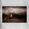 Animal wall art and canvas prints of Glowing Deer on a rolled print