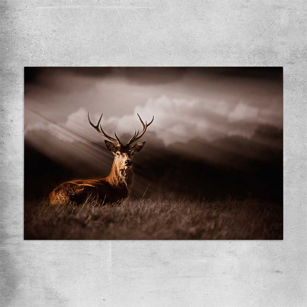 Animal wall art and canvas prints of Glowing Deer on a rolled print