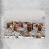 Animal wall art and canvas prints of Highland Ranges on a rolled print