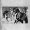 Animal wall art and canvas prints of Majestic Horse on a rolled print