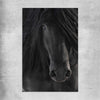 Animal wall art and canvas prints of Midnight Friesian Horse on a rolled print