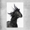 Animal wall art and canvas prints of Midnight Horse on a rolled print