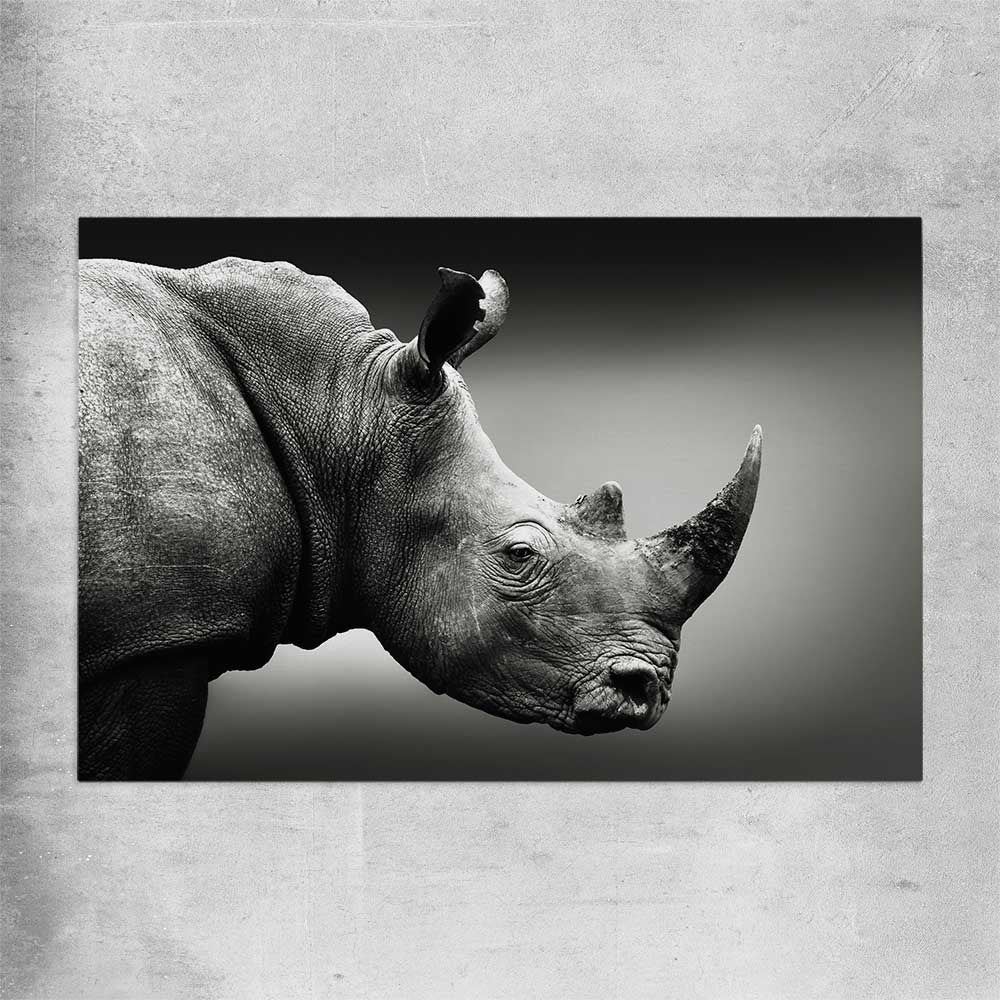 Animal wall art and canvas prints of Monochrome Rhinoceros on a rolled print