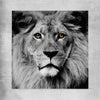 Animal wall art and canvas prints of Noble Lion Portrait on a rolled print