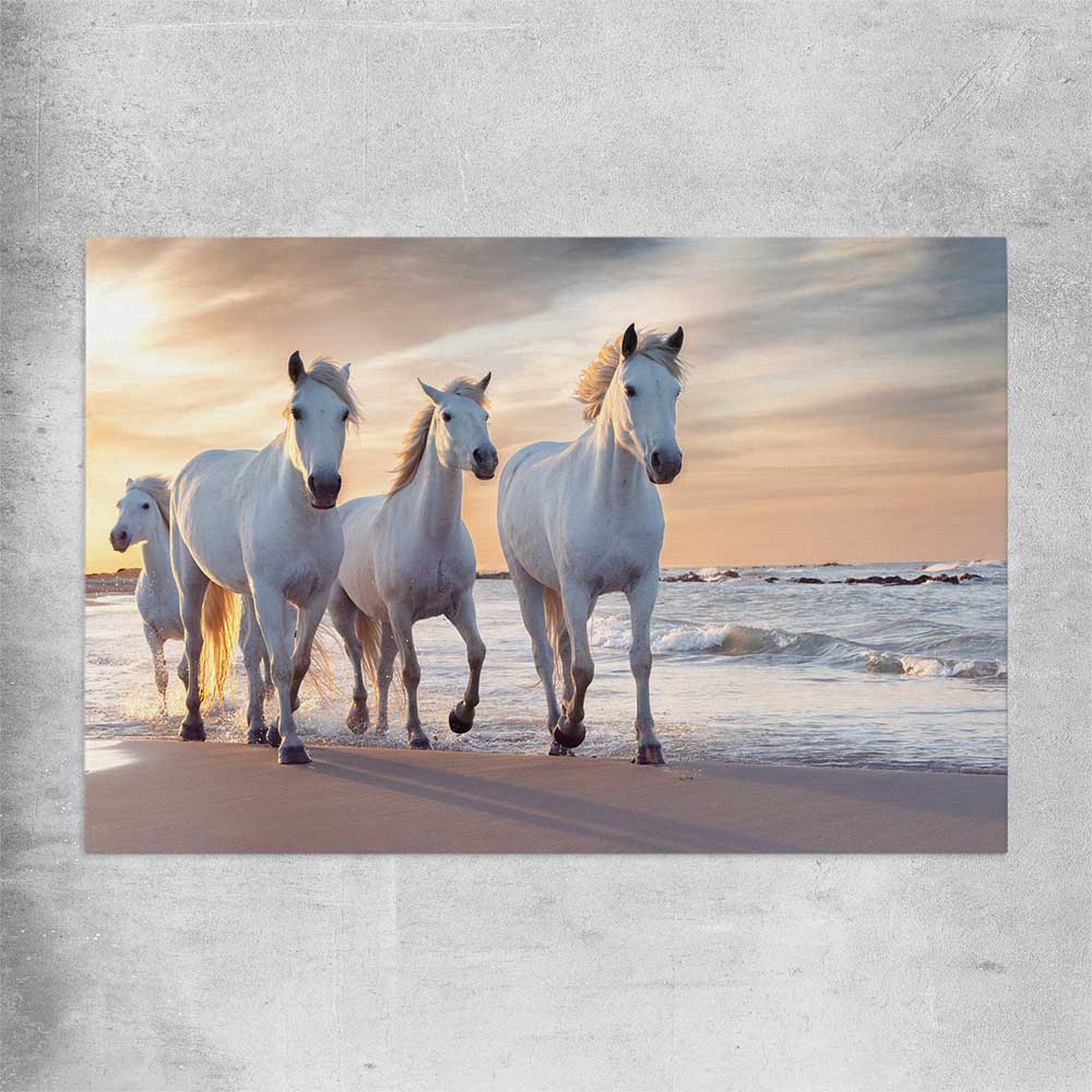 Animal wall art and canvas prints of Ocean Breeze Horses on a rolled print