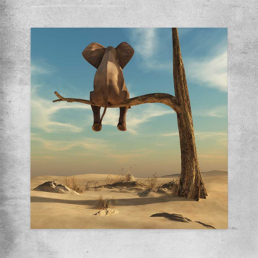 Animal wall art and canvas prints of Pondering Elephant on a rolled print