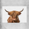 Animal wall art and canvas prints of Rustic Highland Cow on a rolled print
