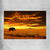 Animal wall art and canvas prints of Savannah Elephant Sunset on a rolled print
