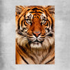 Animal wall art and canvas prints of Tiger Silent Power on a rolled print