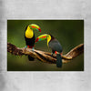 Animal wall art and canvas prints of Tropical Toucan Pair on a rolled print