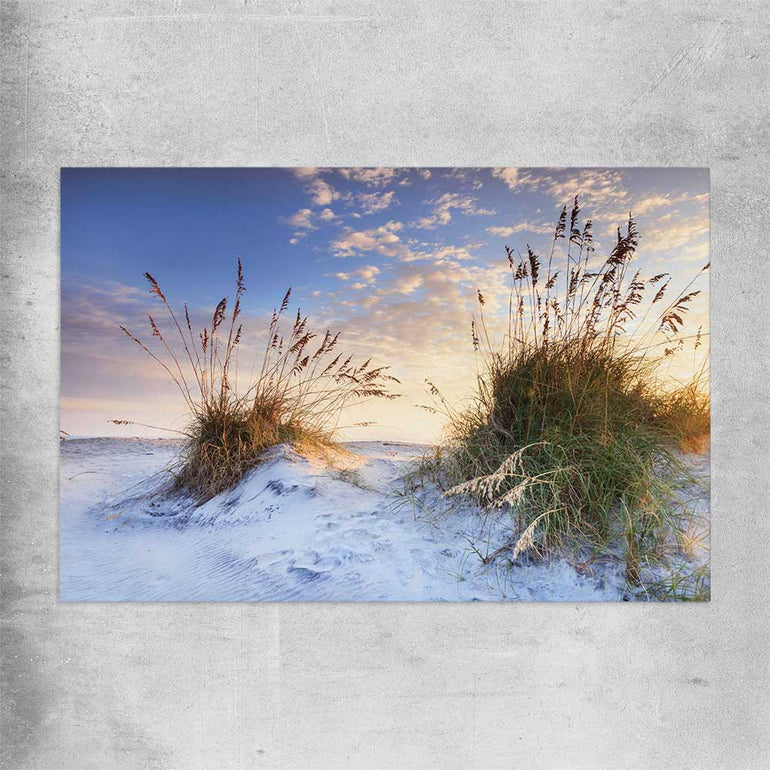 Beach and coastal wall art print of Coastal Sunrise on a rolled print